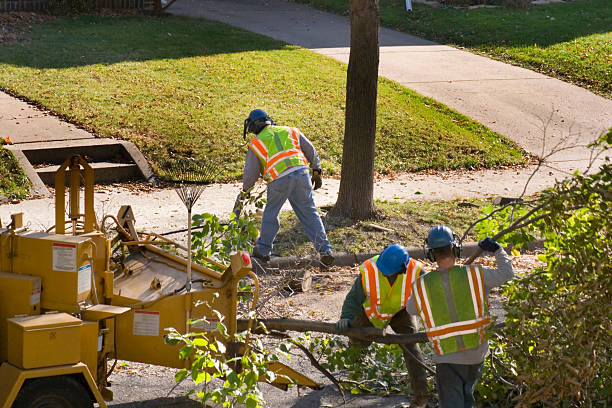 Best Landscape Design and Installation  in Clton, IN